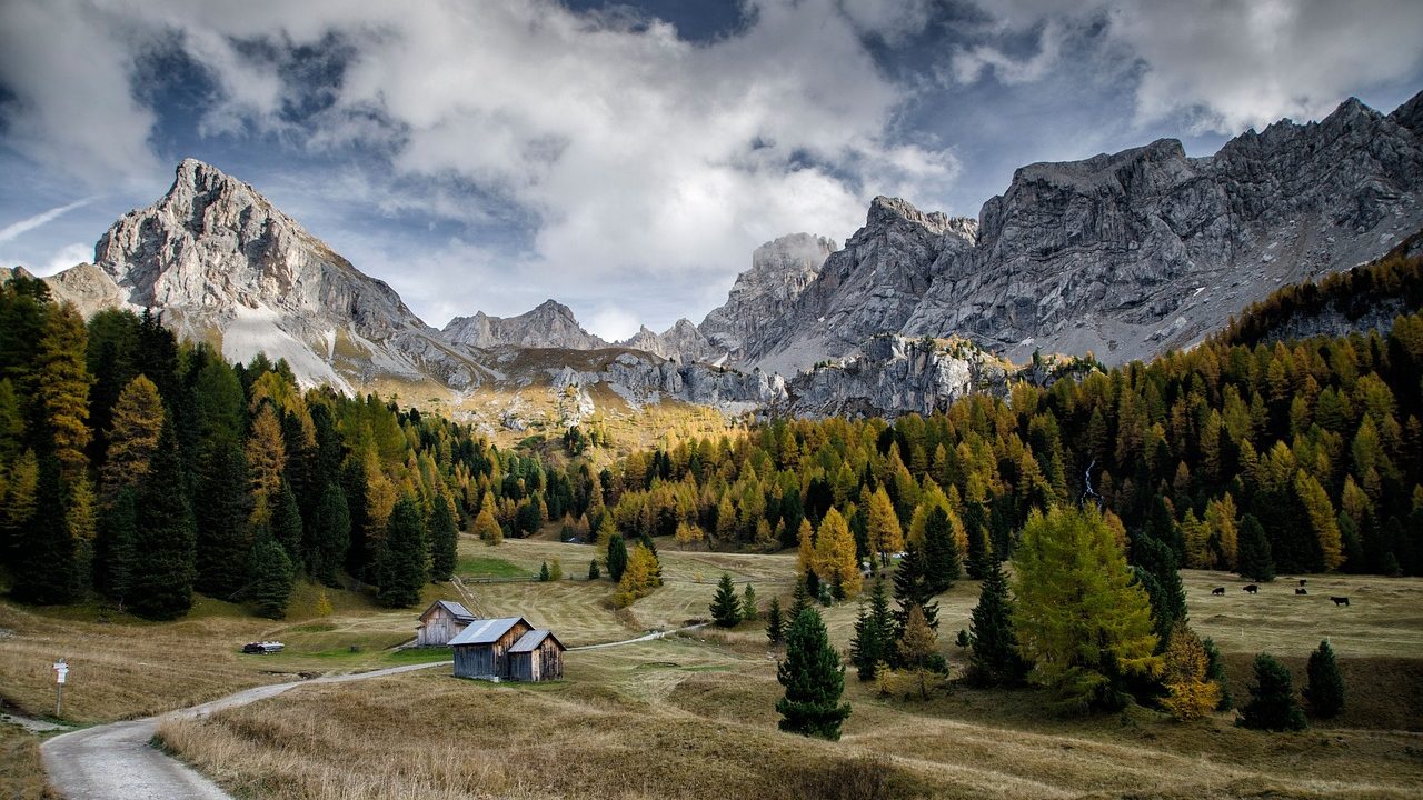 Un alb franțuzesc din Valea Ronului, recomandat pentru prospețime și note citrice