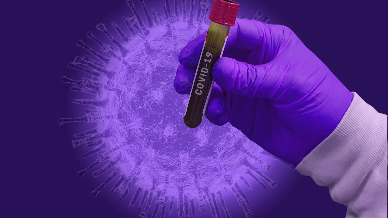 Ce se întâmplă cu agenții patogeni când o epidemie se stinge, dar boala revine ulterior