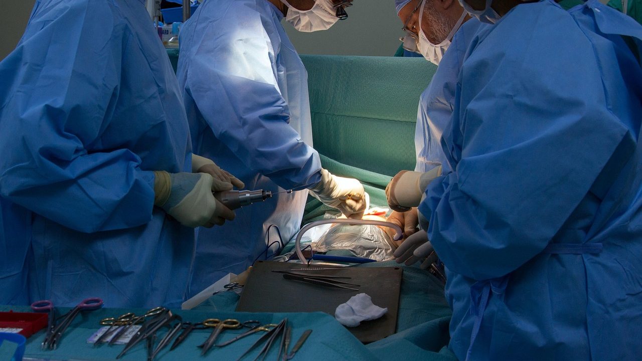 Beneficiile prunelor pentru sănătatea intestinală, evidențiate odată cu sosirea toamnei