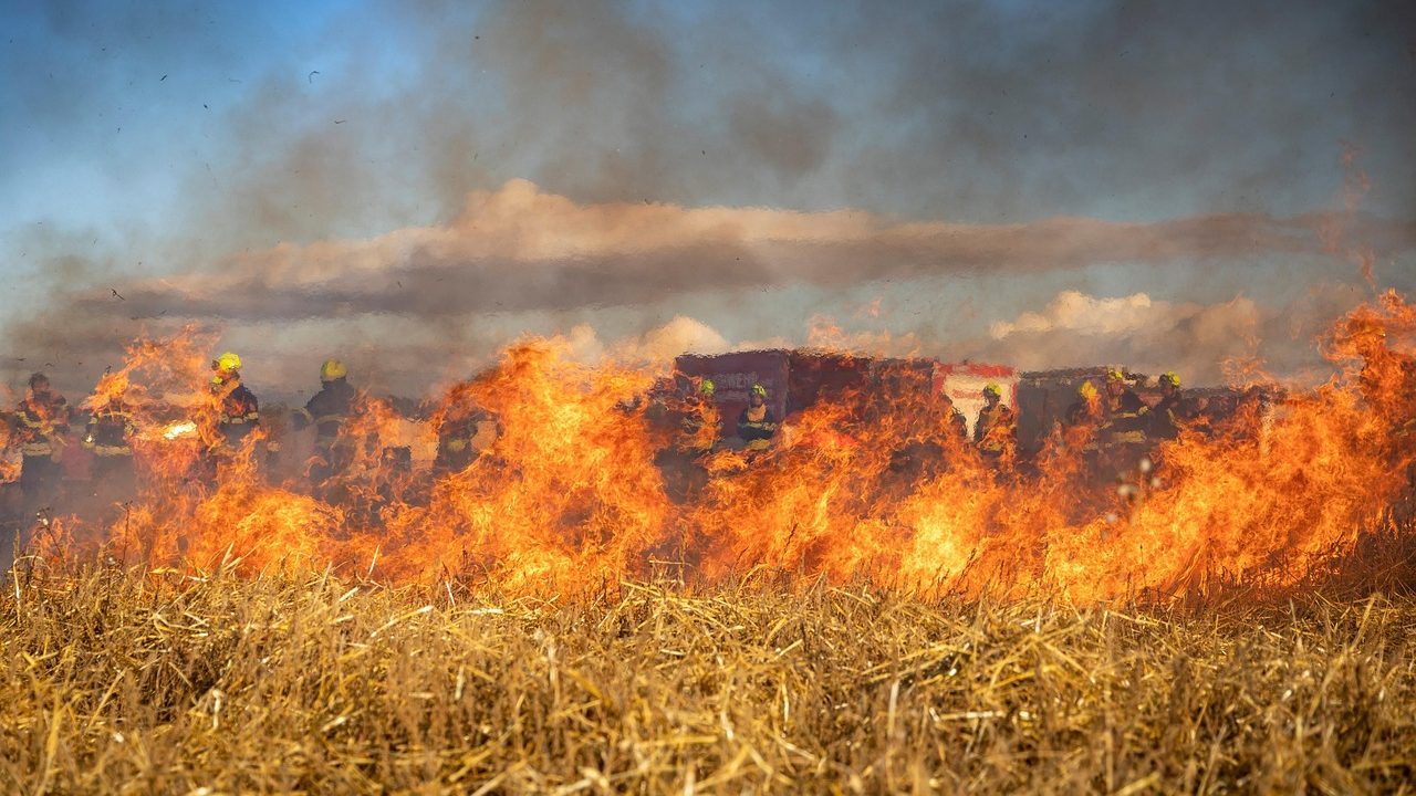 Incendiu extins la o hală de depozitare a hârtiei, la o unitate industrială din Drobeta-Turnu Severin