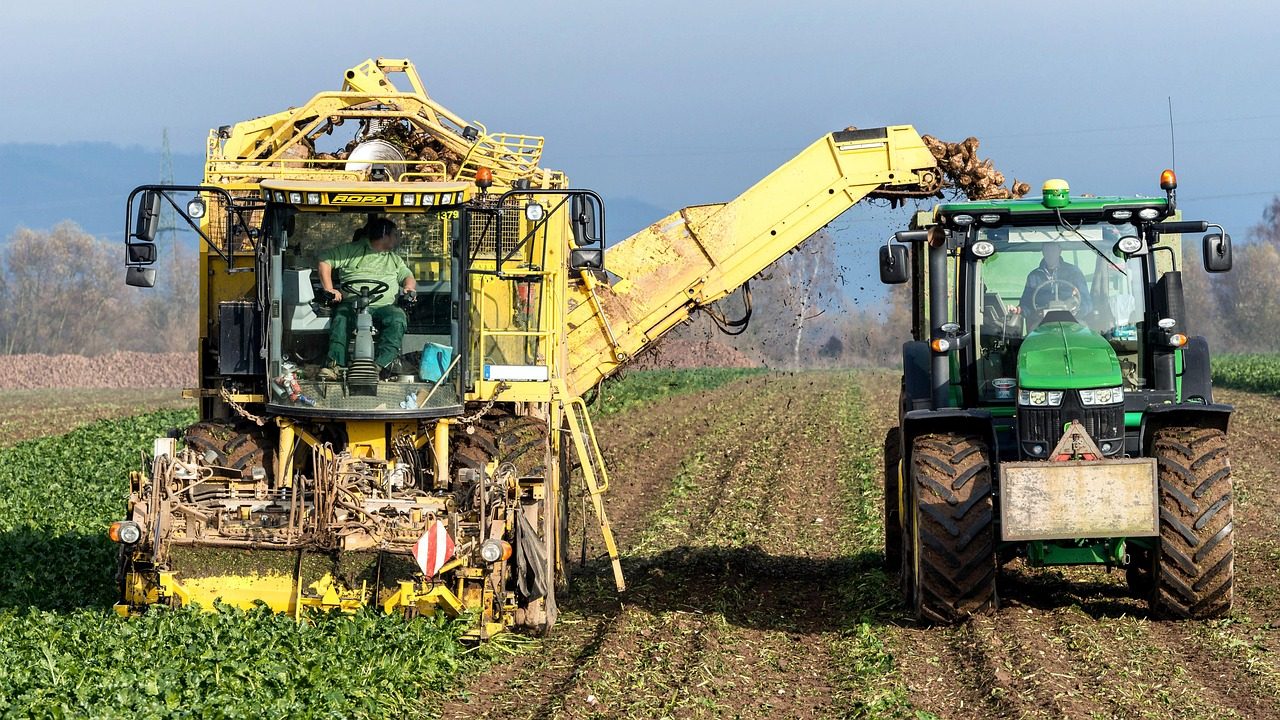 Fermieri clujeni bagă 45 de milioane de euro într-o unitate modernă de procesare a uleiului
