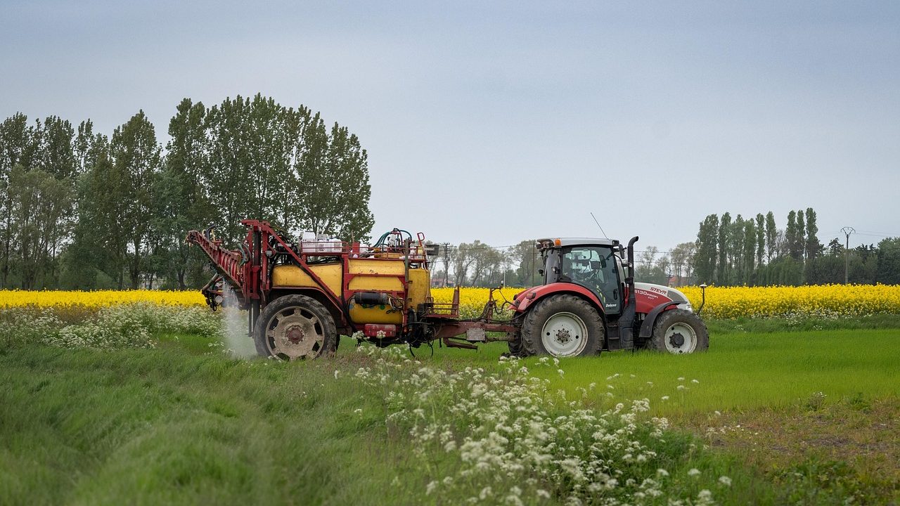 Fermierii români domină din nou exporturile europene de cereale în noul sezon comercial