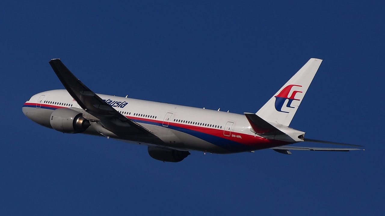 Ce companii aeriene din Europa acceptă animale de companie la bord și cât costă transportul